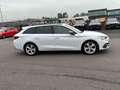 SEAT Leon SP FR 1.5 TSI NAVI LED BEATS TOW. SITZH. Weiß - thumbnail 6