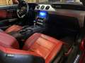 Ford Mustang Mustang Fastback 5.0 V8 GT crvena - thumbnail 10