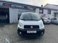 Fiat Scudo Multicab L2H1 130 Multijet *116.210 km* Weiß - thumbnail 9