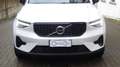 Volvo XC40 B3 automatico Plus Dark Bianco - thumbnail 5
