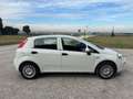 Fiat Punto Punto Lounge Bianco - thumbnail 4