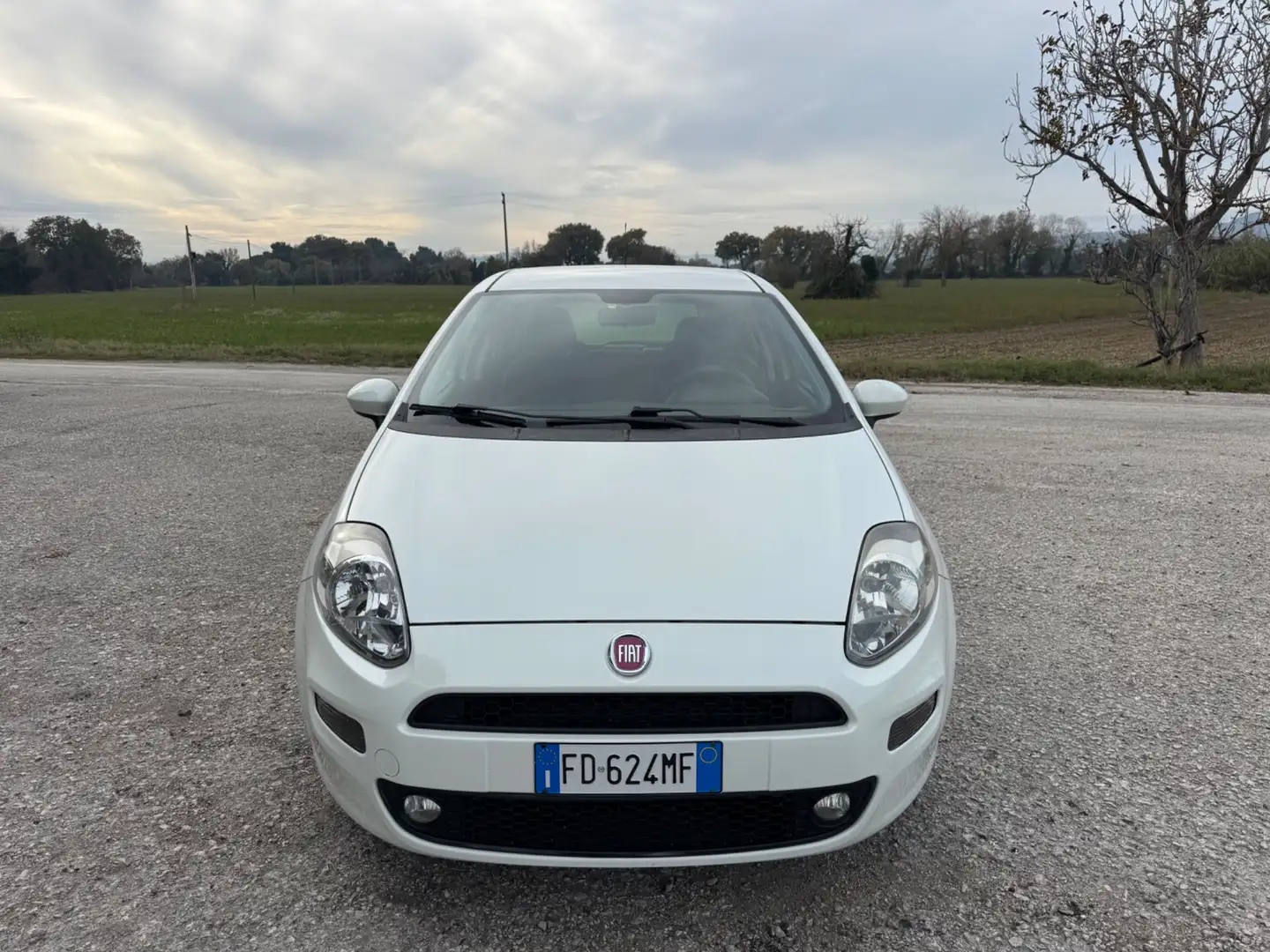 Fiat Punto Punto Lounge Bianco - 2