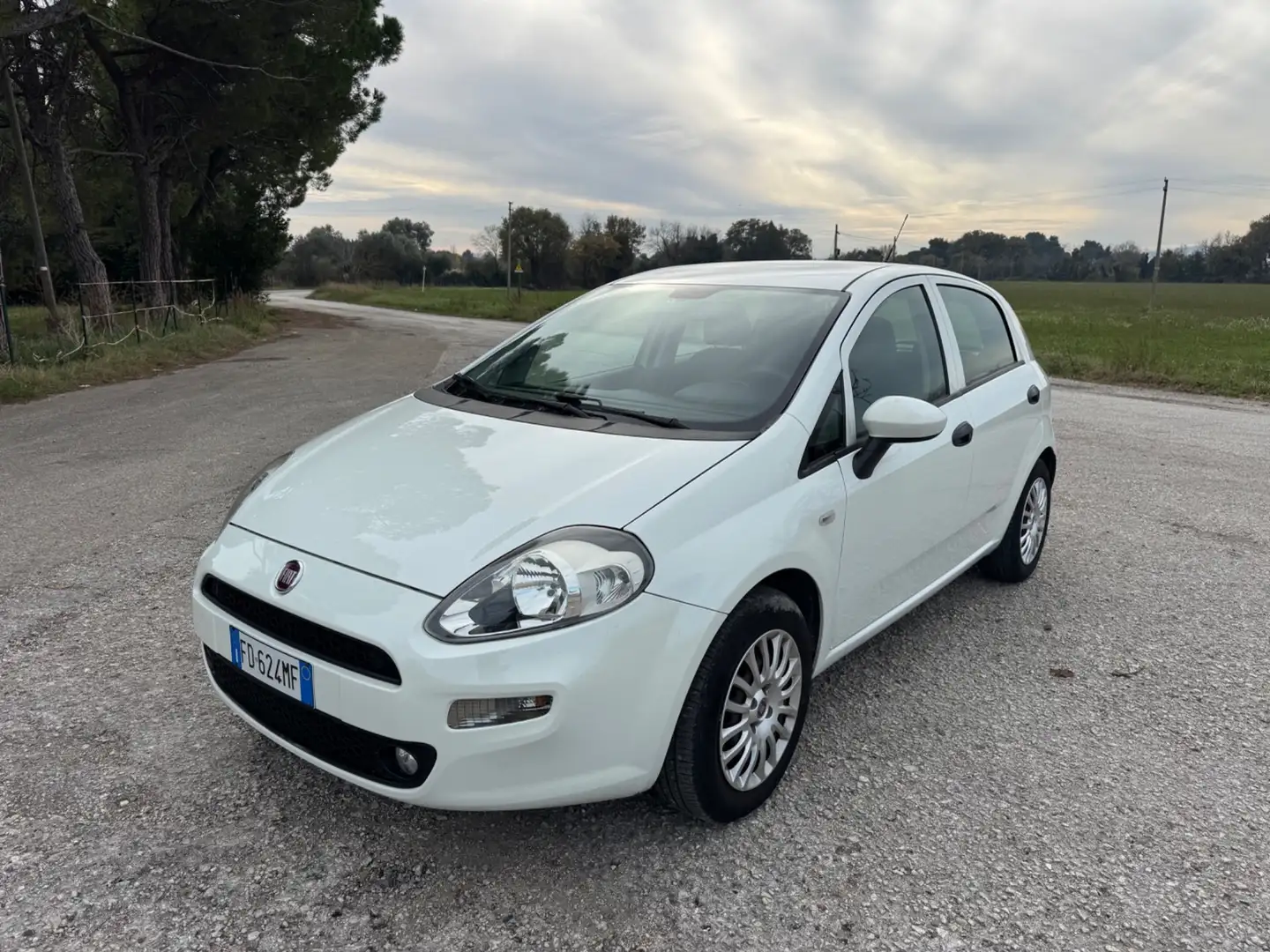 Fiat Punto Punto Lounge Bianco - 1