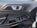 Ford EcoSport ECOSPORT 1.0 EcoBoost Aut. TITANIUM - thumbnail 9