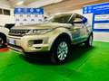 Land Rover Range Rover Evoque Range Rover Evoque 2.2 td4 Prestige 150cv auto 9m Bronzo - thumbnail 3