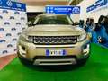Land Rover Range Rover Evoque Range Rover Evoque 2.2 td4 Prestige 150cv auto 9m Bronzo - thumbnail 2