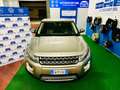 Land Rover Range Rover Evoque Range Rover Evoque 2.2 td4 Prestige 150cv auto 9m Bronzo - thumbnail 5