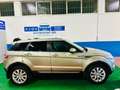 Land Rover Range Rover Evoque Range Rover Evoque 2.2 td4 Prestige 150cv auto 9m Bronzo - thumbnail 15