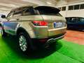 Land Rover Range Rover Evoque Range Rover Evoque 2.2 td4 Prestige 150cv auto 9m Bronzo - thumbnail 10