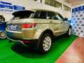 Land Rover Range Rover Evoque Range Rover Evoque 2.2 td4 Prestige 150cv auto 9m Bronzo - thumbnail 14