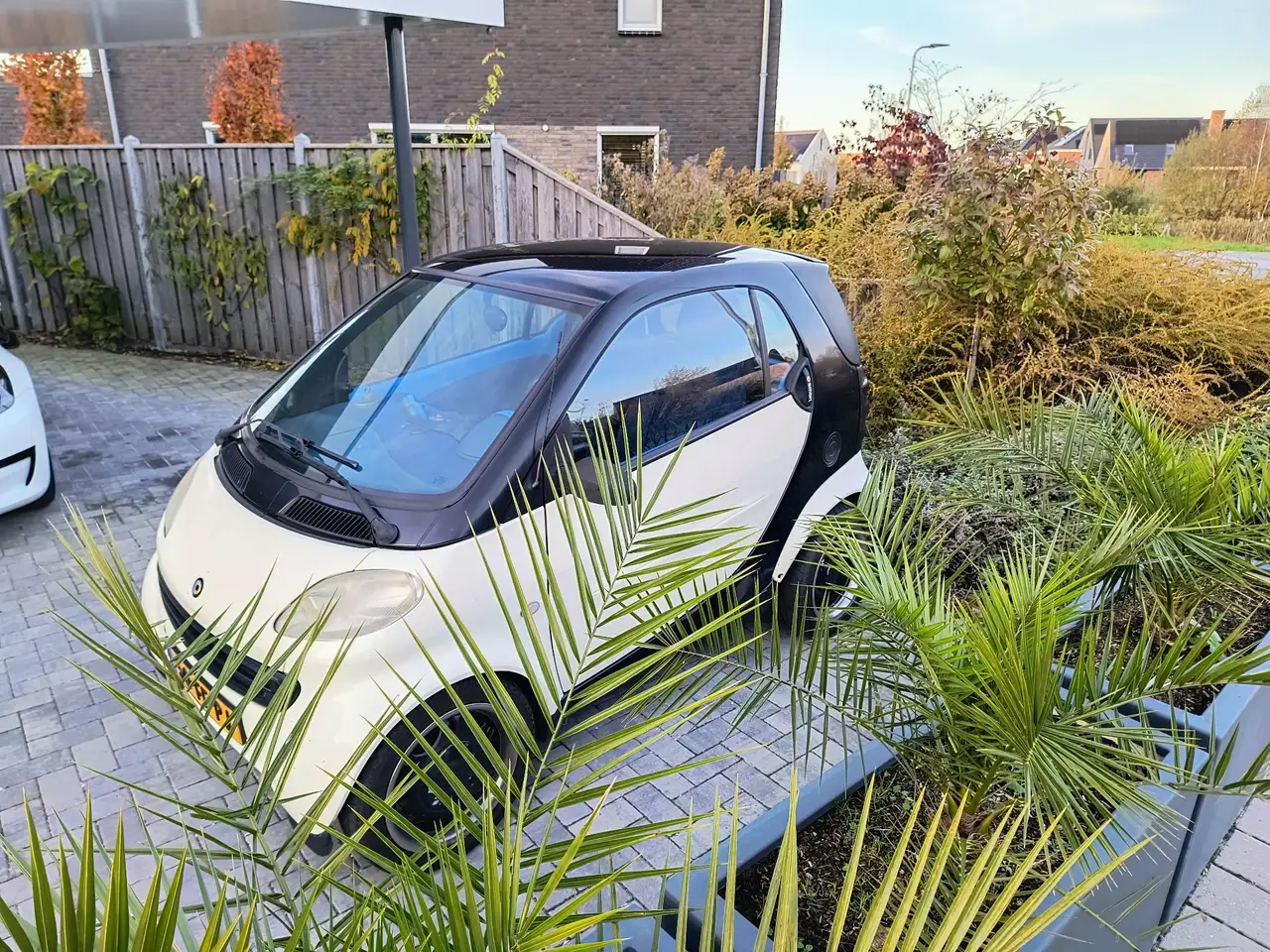 smart forTwo & pulse, foto 8