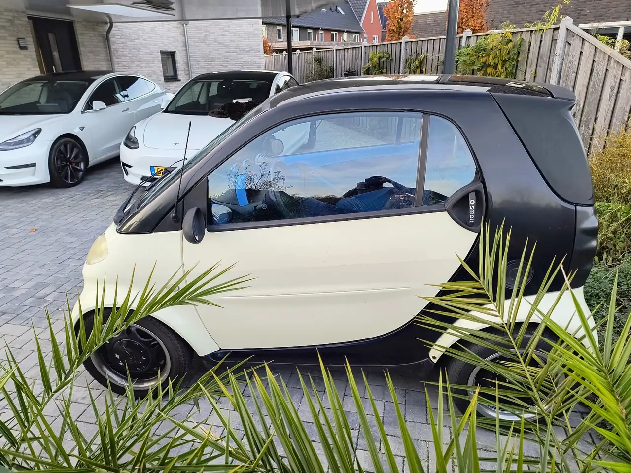 smart forTwo & pulse, foto 10