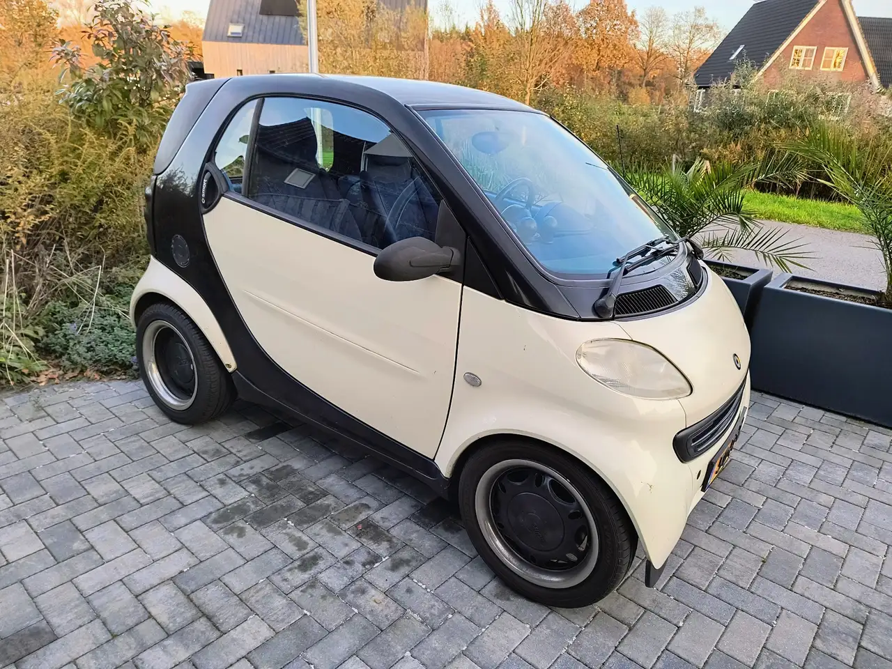 smart forTwo & pulse, foto 7