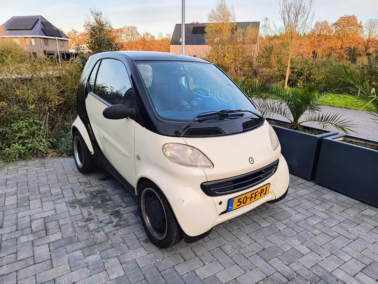 smart forTwo & pulse, foto 2