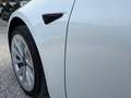 Tesla Model 3 Model 3 RWD  Standard *PREMIERE MAIN Blanc - thumbnail 19