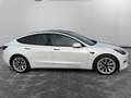 Tesla Model 3 Model 3 RWD  Standard *PREMIERE MAIN Blanc - thumbnail 6