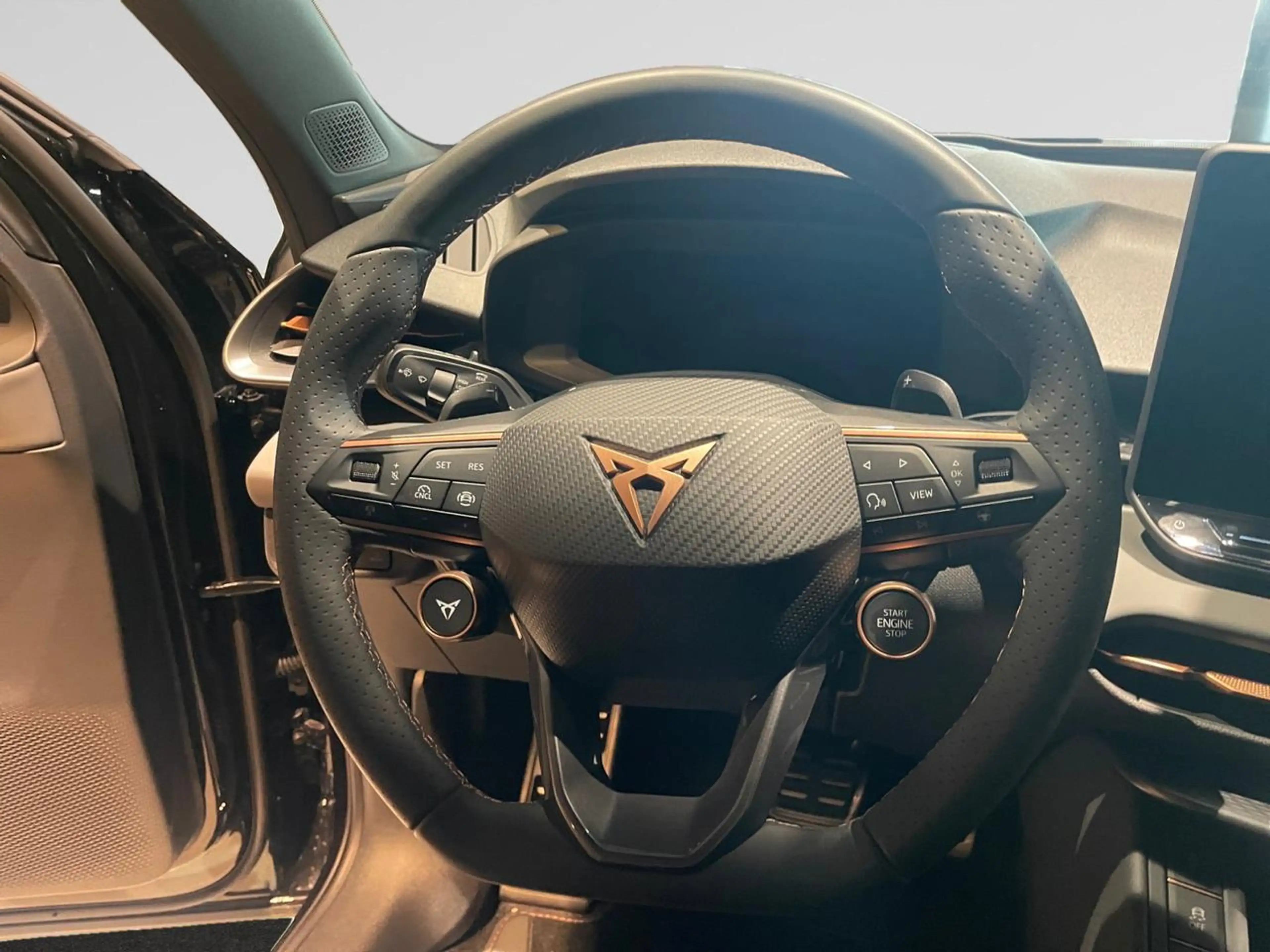 CUPRA Terramar 1.5 eTSI MHEV Impulse Plus DSG — photo 13