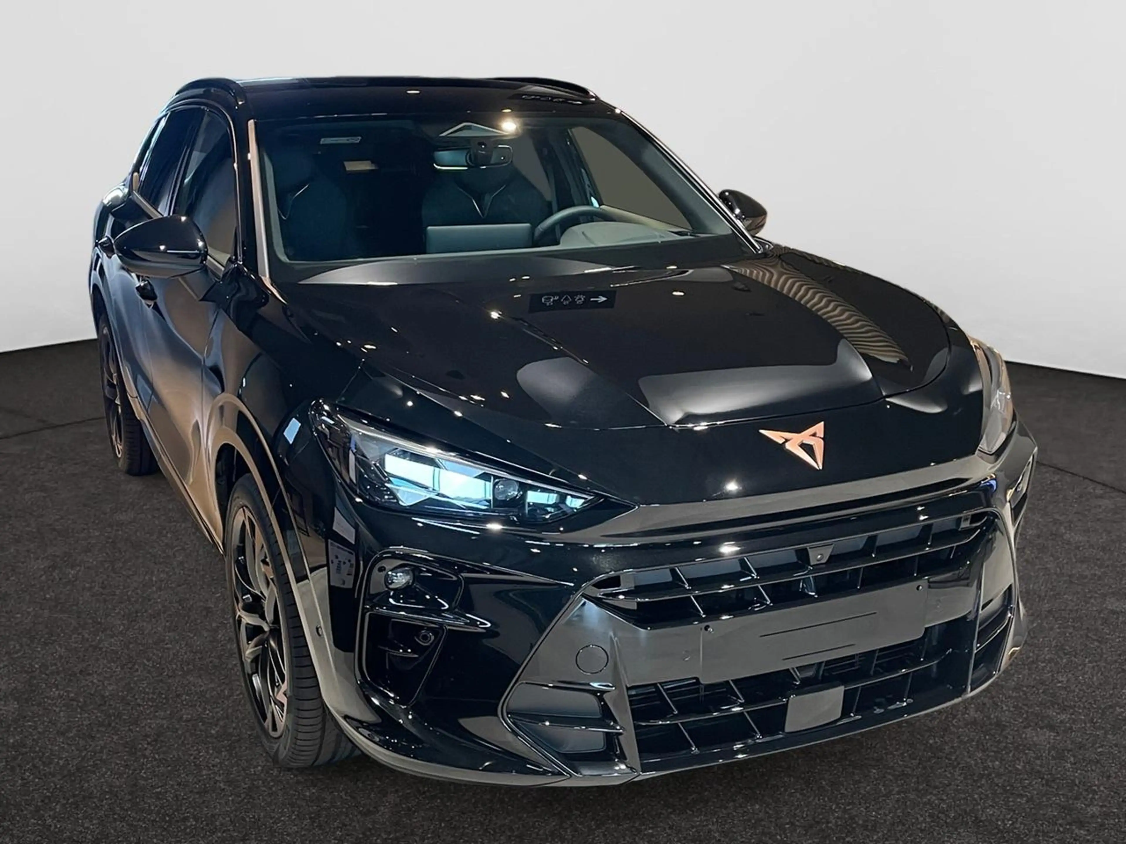 CUPRA Terramar 1.5 eTSI MHEV Impulse Plus DSG — photo 9
