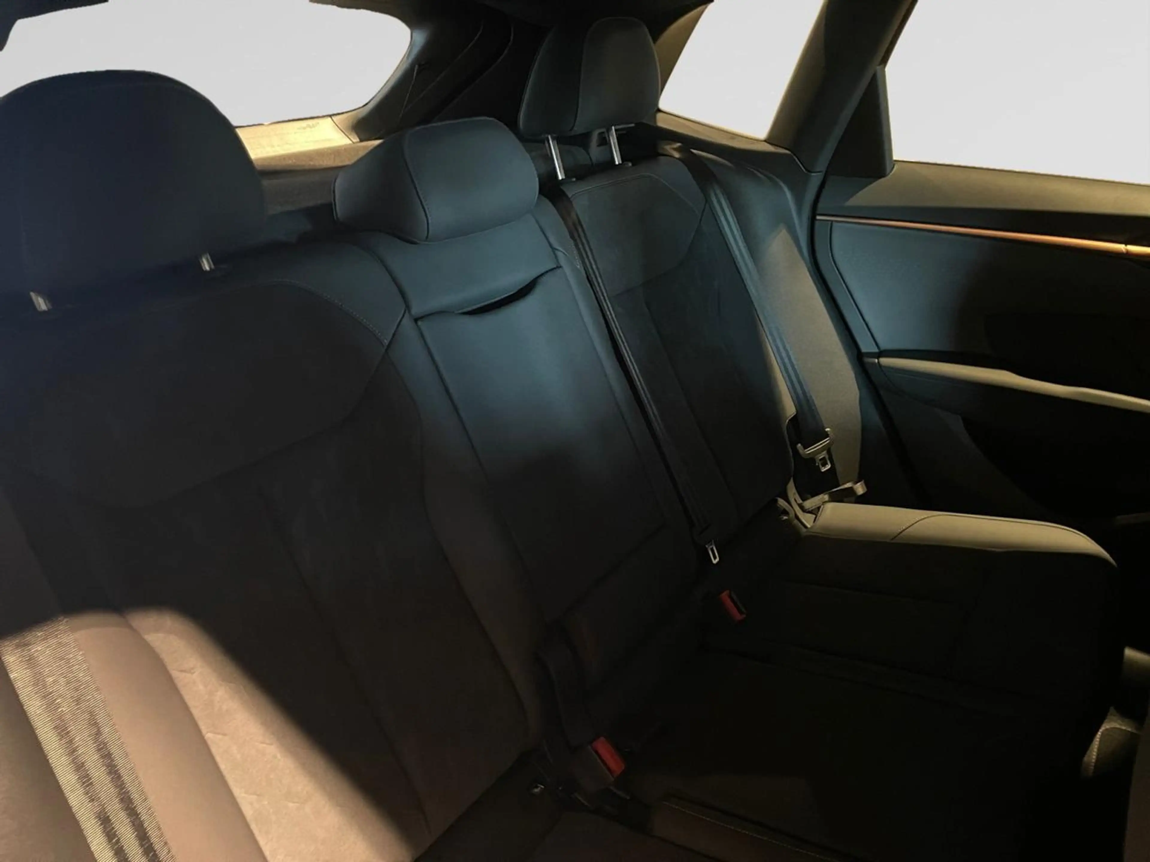 CUPRA Terramar 1.5 eTSI MHEV Impulse Plus DSG — photo 4