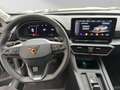 CUPRA Formentor 1.5 TSI*LED*Winter*ACC*Kessy*LED*ACC* Gris - thumbnail 10