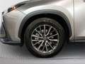 Lexus NX 350h Business 2WD - thumbnail 16