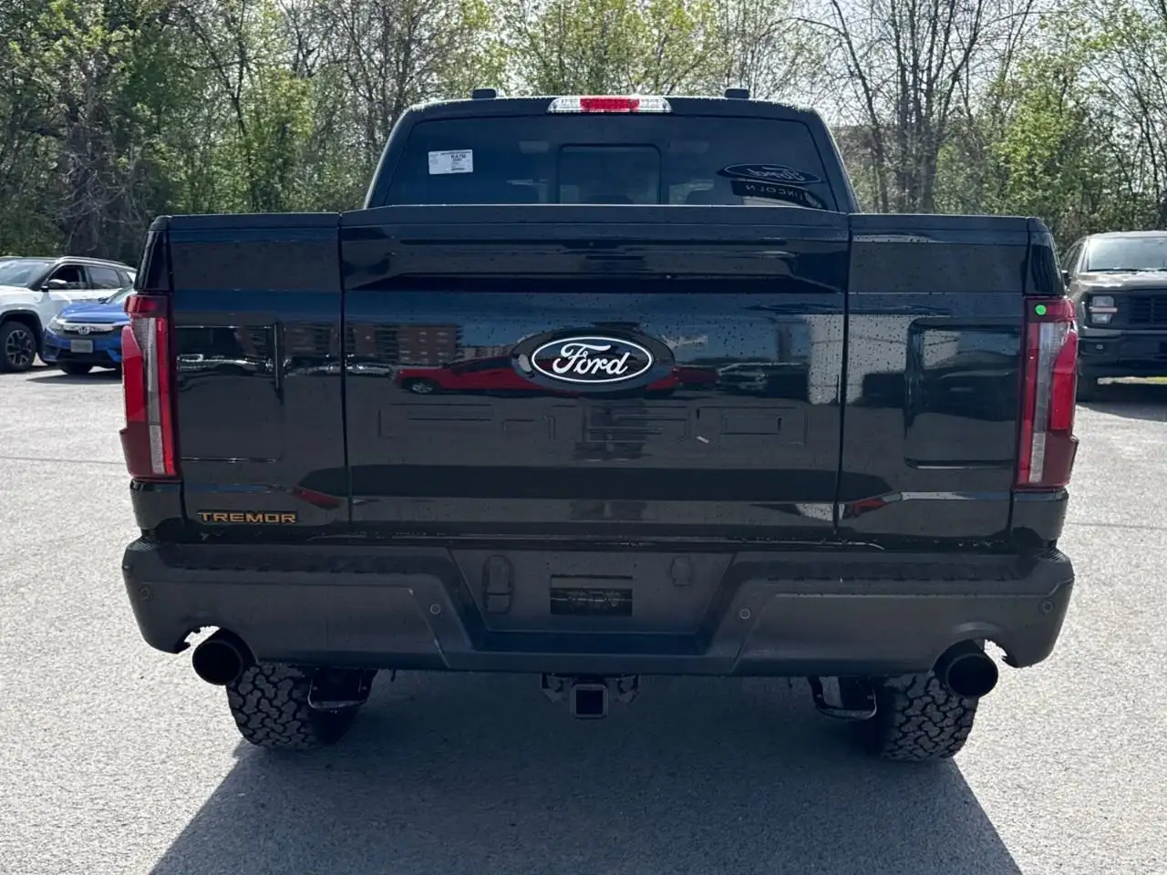 Ford F 150 снимка Ford F 150