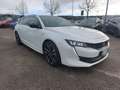 Peugeot 508 GT  pack Weiß - thumbnail 8