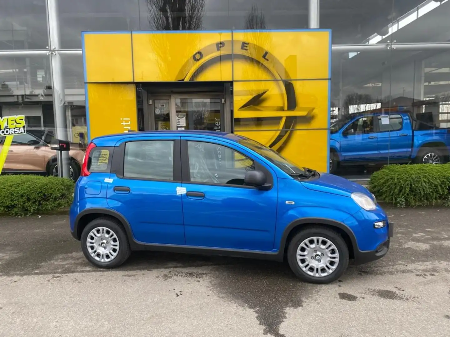 Fiat Panda 1.0 FireFly S&S Hybrid Pandina Blu/Azzurro - 2