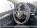 Skoda Karoq 2.0 tdi evo executive 115cv dsg Grigio - thumbnail 14
