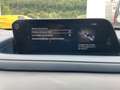 Mazda CX-30 Selection 360° Kamera Bose Automatik Rouge - thumbnail 26