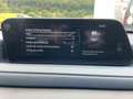 Mazda CX-30 Selection 360° Kamera Bose Automatik Rouge - thumbnail 22