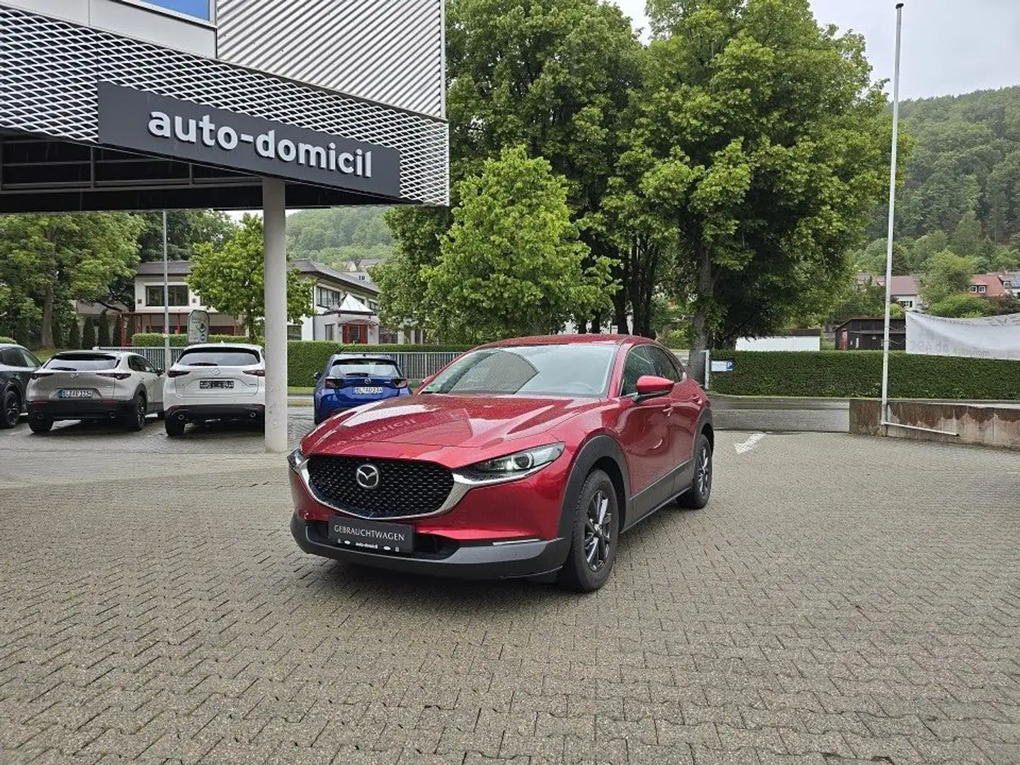 Mazda CX-30 Selection 360° Kamera Bose Automatik Красный - 1