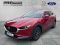 Mazda CX-30 Selection 360° Kamera Bose Automatik Rouge - thumbnail 2