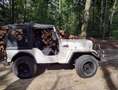 Mahindra CJ 340 [Jeep CJ-3B] Bianco - thumbnail 4