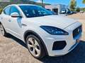 Jaguar E-Pace 2.0i 4X4 boîte auto R-DYNAMIC Weiß - thumbnail 2