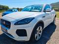 Jaguar E-Pace 2.0i 4X4 boîte auto R-DYNAMIC Weiß - thumbnail 1