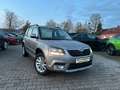 Skoda Yeti 1.2 Ambition /Sitzhzg./AHK/2 Jahre Garantie Beige - thumbnail 1