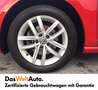 Volkswagen Golf Variant Comfortline TDI SCR DSG Rot - thumbnail 10
