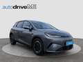 BYD Dolphin G DM-i Boost Grau - thumbnail 6