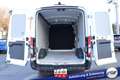 Ford Transit Trend L2H2 #Checkheft #Klima #3-Sitzer #Kamera ... Alb - thumbnail 11
