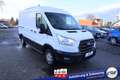 Ford Transit Trend L2H2 #Checkheft #Klima #3-Sitzer #Kamera ... Alb - thumbnail 5