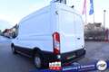 Ford Transit Trend L2H2 #Checkheft #Klima #3-Sitzer #Kamera ... Alb - thumbnail 13