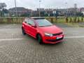 Volkswagen Polo 1.2 CR TDi **FULL OPTION**EURO5 Rouge - thumbnail 1
