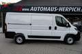 Fiat Ducato L2H1 2.2 Multijet Flachdach DAB RFK PDC Bianco - thumbnail 4