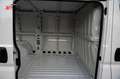 Fiat Ducato L2H1 2.2 Multijet Flachdach DAB RFK PDC Bianco - thumbnail 6