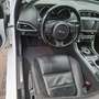 Jaguar XE XE 20d Prestige Aut. Prestige Weiß - thumbnail 9