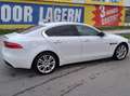 Jaguar XE XE 20d Prestige Aut. Prestige Weiß - thumbnail 6