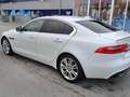 Jaguar XE XE 20d Prestige Aut. Prestige Weiß - thumbnail 5