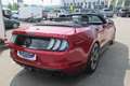 Ford Mustang 5,0 Ti-VCT V8 GT CS Cabrio Aut. Rot - thumbnail 22