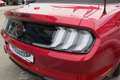 Ford Mustang 5,0 Ti-VCT V8 GT CS Cabrio Aut. Rot - thumbnail 7
